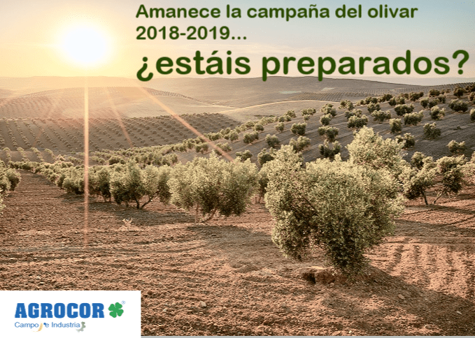Agrocor – Septiembre: Campaña del Olivar 2018